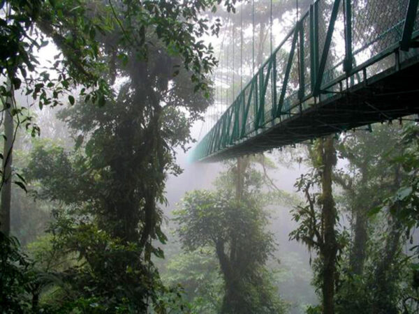 Monteverde-Costa-Rica