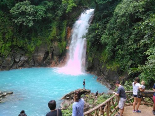 Sloths in Costa Rica | RIO CELESTE Waterfall & Sloth Sighting