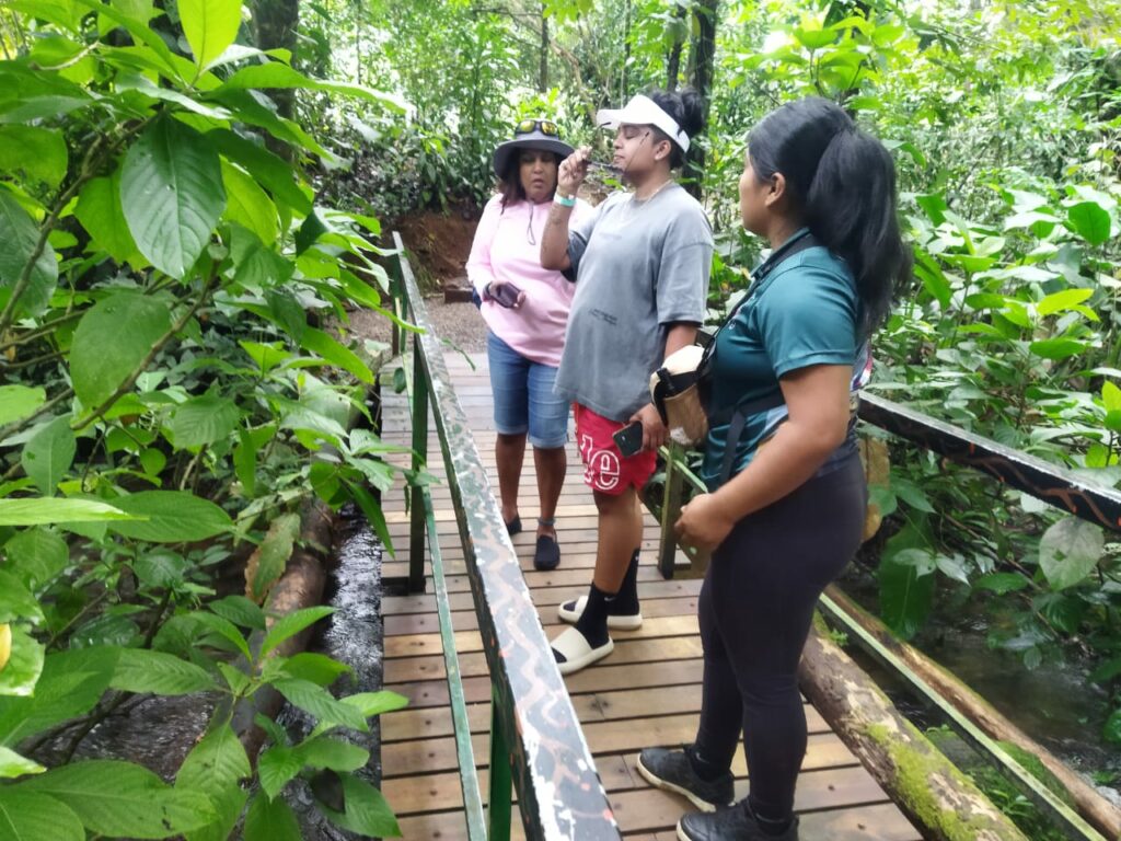 costa rica's wildlife