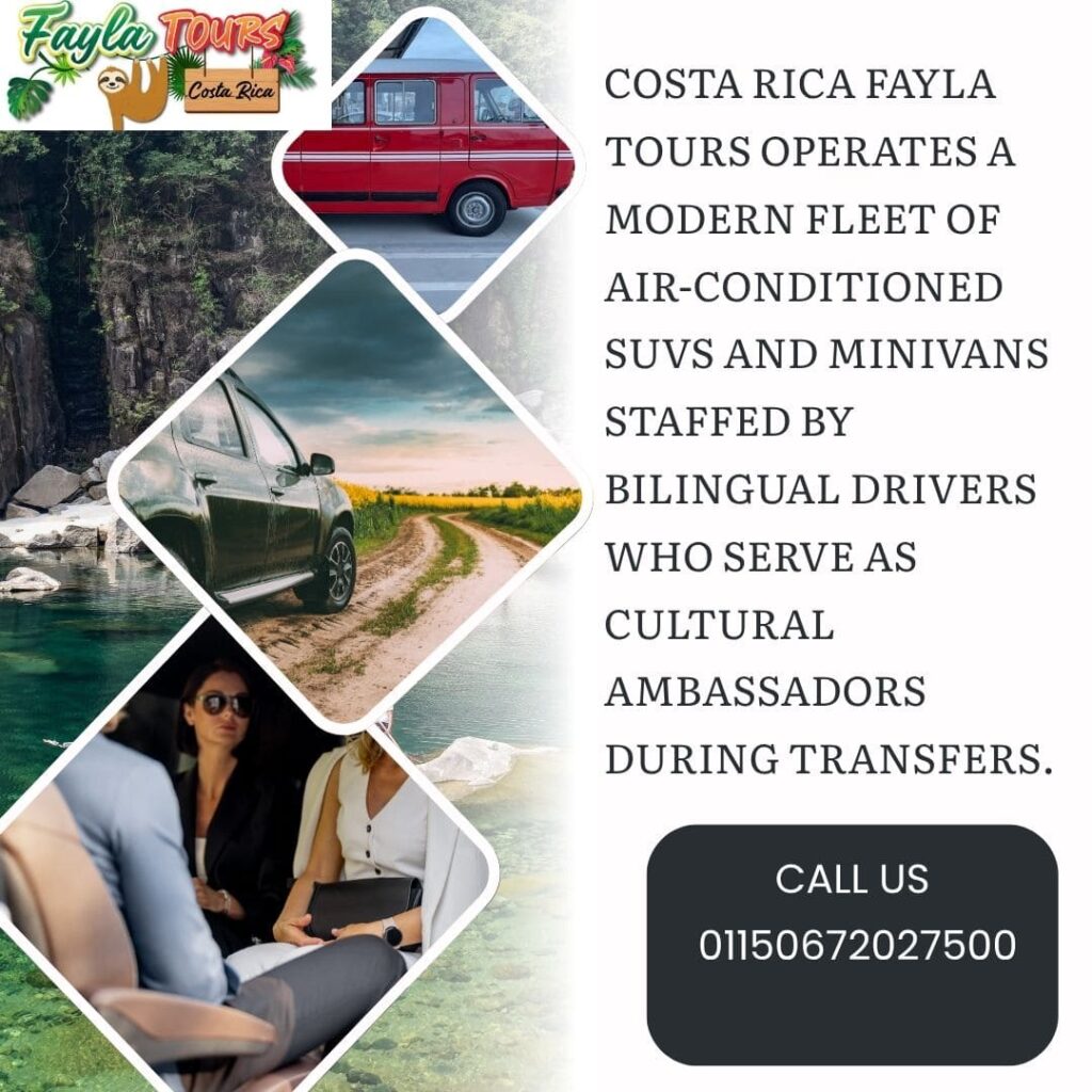 A collage of three images: a red minivan, a black SUV on a dirt road next to a stream, and people inside a vehicle.