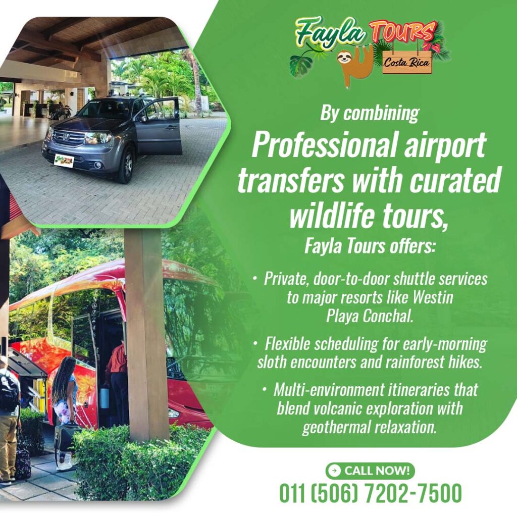 Professional Airport Transfers With Curated Wildlife Tours