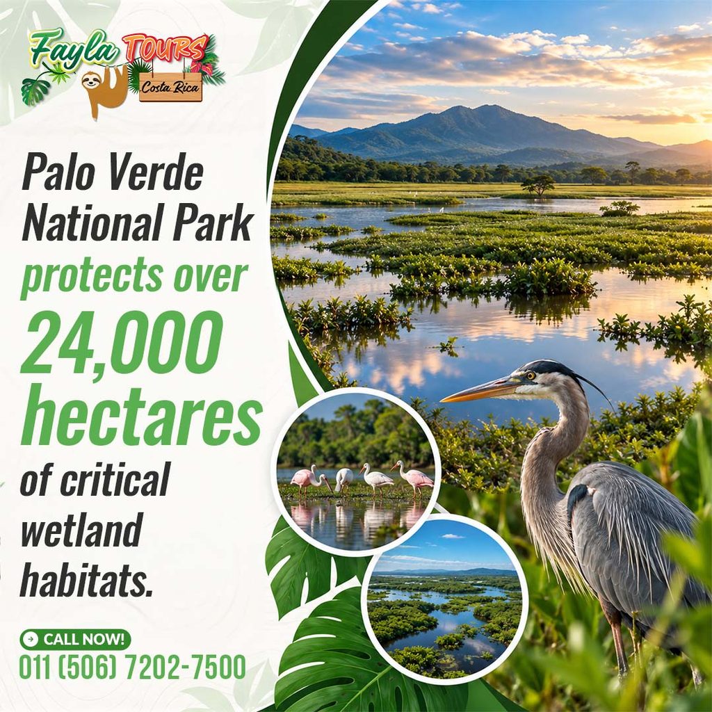 Palo Verde National Park Tour