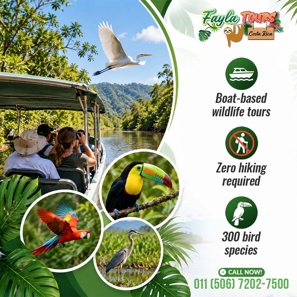 Boat-based Wildlife Tour