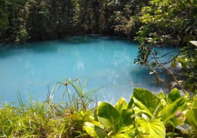 rio celeste waterfall tour sloths sighting