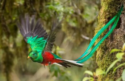 secrets-papagayo-costa-rica