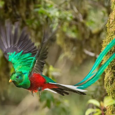 secrets-papagayo-costa-rica