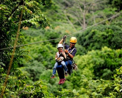 fun things to do at riu palace