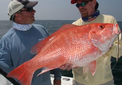 sport fishing guanacaste