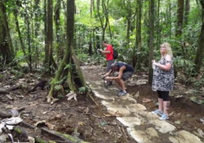 rio-celeste-waterfall-tour-sloths-sighting