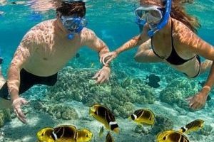 snorkeling tours Guanacaste