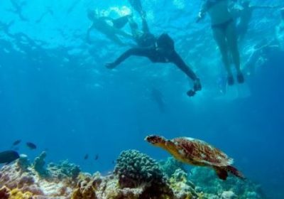 snorkeling-costa-rica