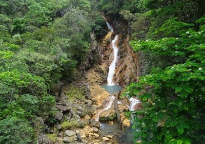 crater-volcano-tour-costa-rica